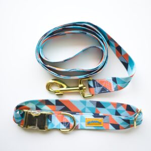 Matching Dog Leash and Collar Set - Turquoise Print