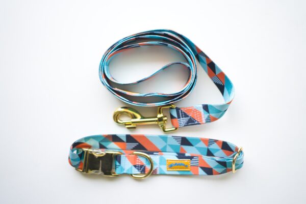 Turquoise Print Matching Leash and Collar