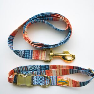 Matching Dog Leash and Collar Set - Orange Print