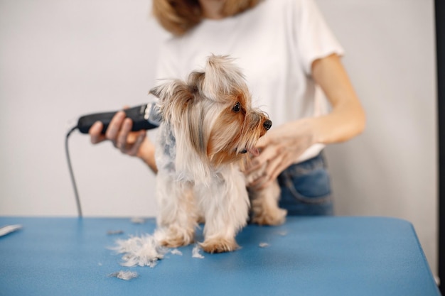 Mobile Puppy Grooming-1