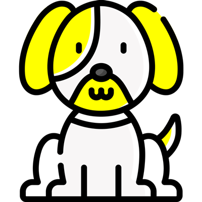 pet