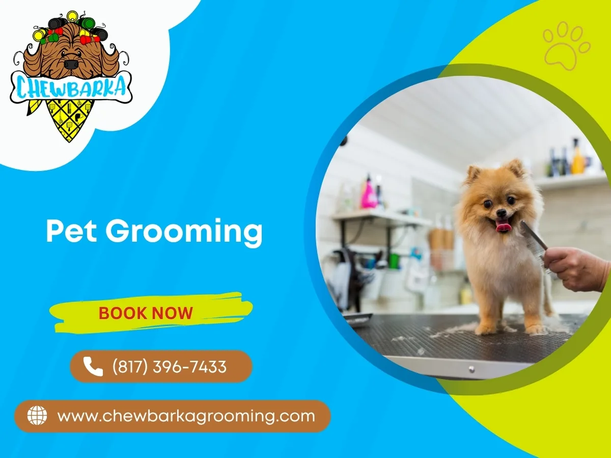 Dog Grooming at Home Service: Hassle-Free Pampering